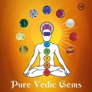 Pure Vedic Gems Pvt. Ltd. 
